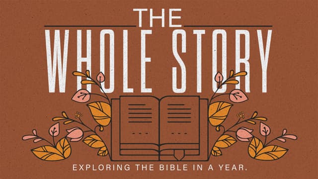 The Whole Story: Exploring the Bible in a year.