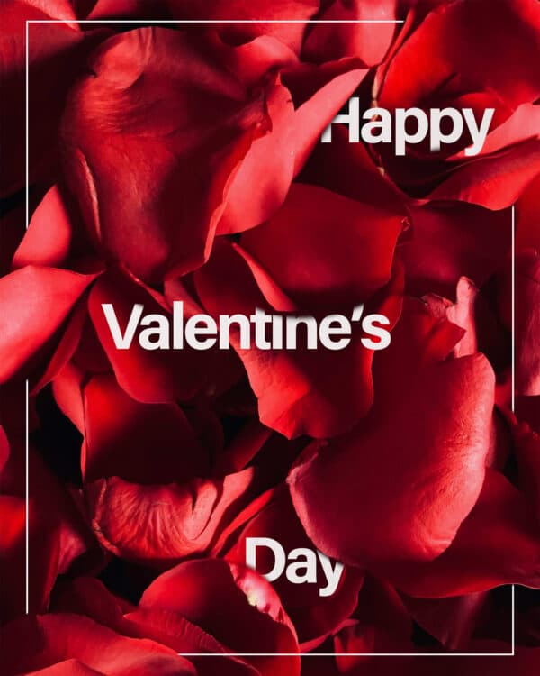 Happy Valentine's Day