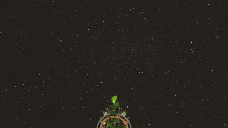 Main Graphics