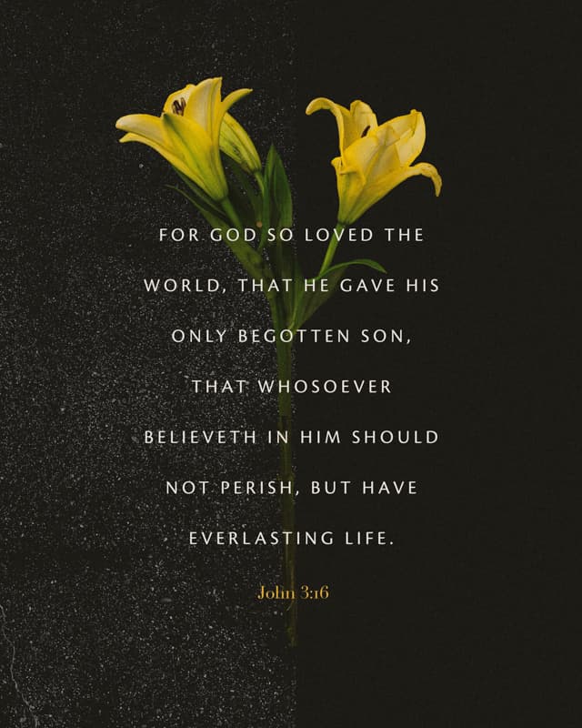 Scripture Posts