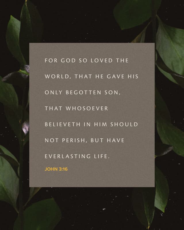Scripture Posts