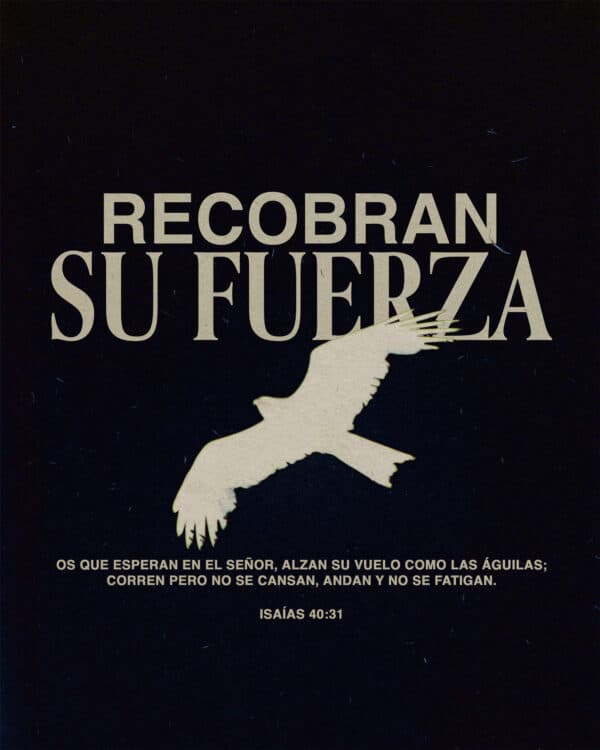 Recobran, en cambio, su fuerza, los que esperan en el Señor, alzan su vuelo como las águilas; corren pero no se cansan, andan y no se fatigan. - Isaías 40‬:‭31‬ ‭