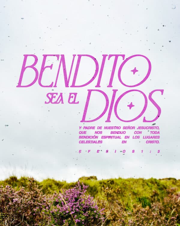 Bendito sea el Dios y Padre de nuestro Señor Jesucristo, que nos bendijo con toda bendición espiritual en los lugares celestiales en Cristo. - Efesios 1:3