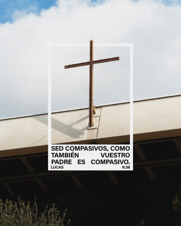 Sed compasivos, como también vuestro Padre es compasivo. - Lucas 6:36