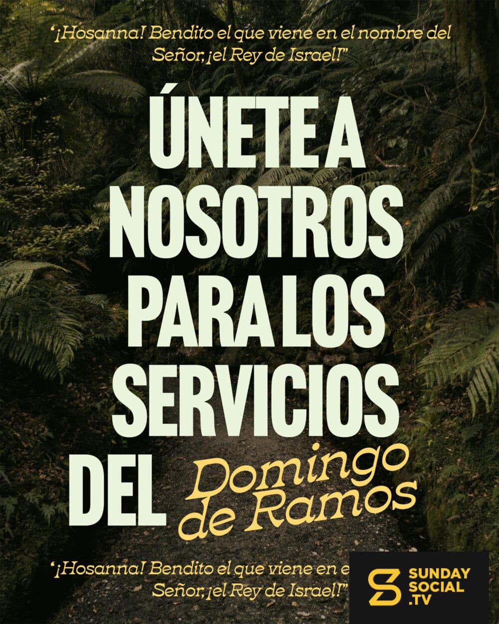 Únetea nosotros para los servicios del Domingo de Ramos