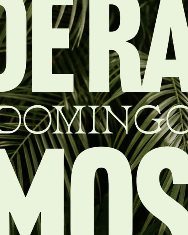 Domingo de Ramos