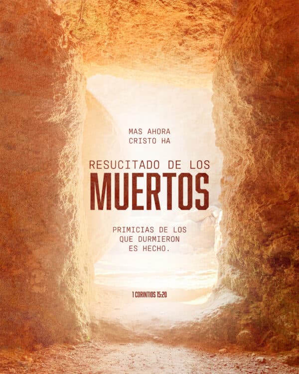 Mas ahora Cristo ha resucitado de los muertos; primicias de los que durmieron es hecho. - 1 Corintios 15:20