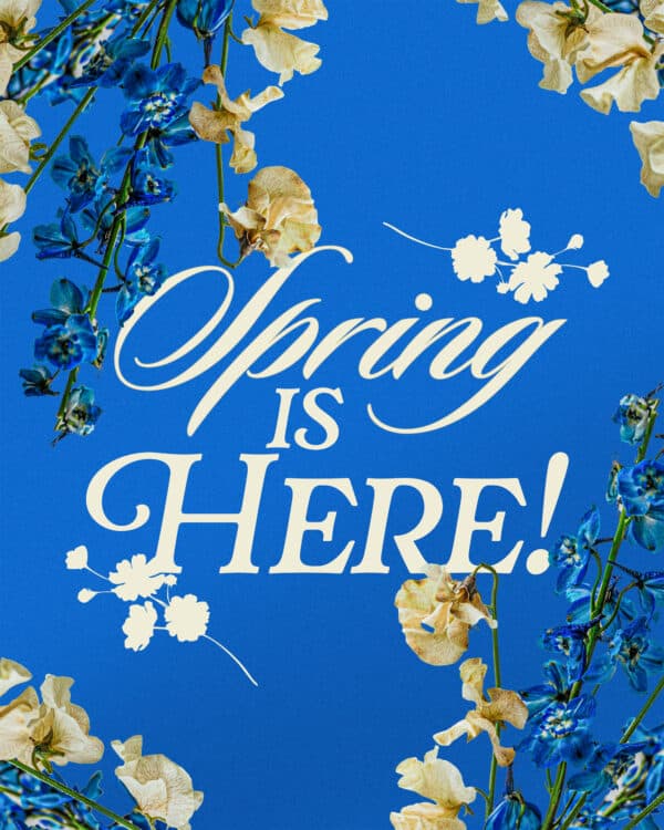 Spring is here!