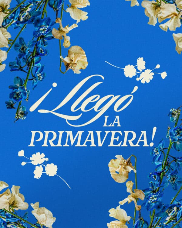 ¡Llegó la primavera!