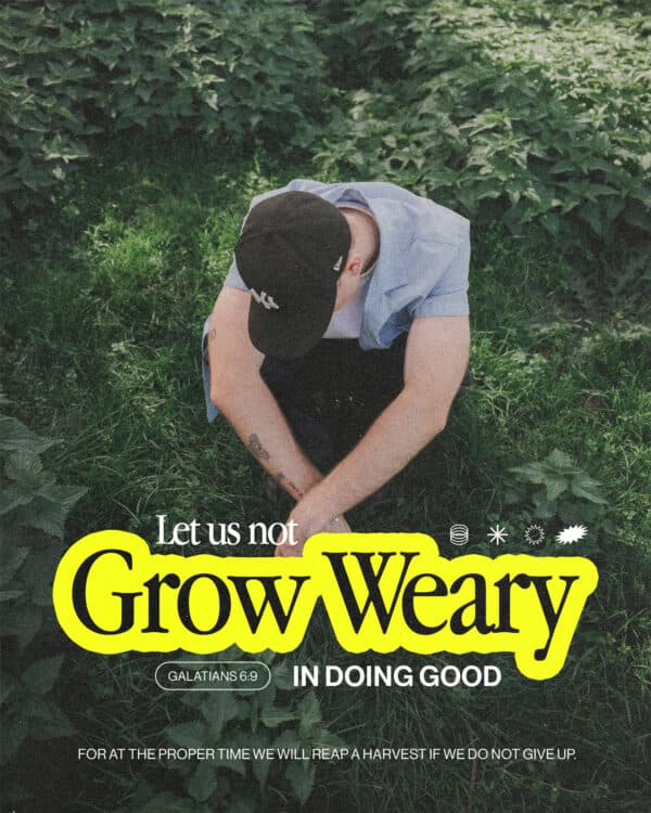 Let us not grow weary in doing good, for at the proper time we will reap a harvest if we do not give up. - Galatians 6:9​