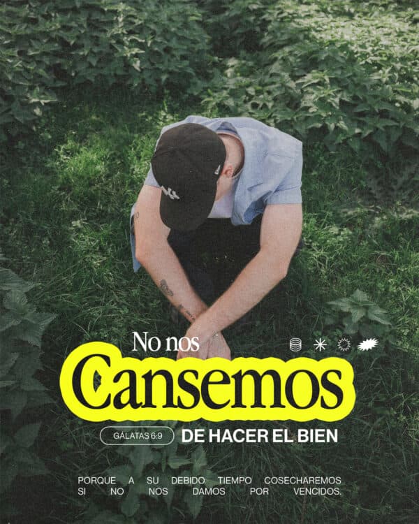 No nos cansemos de hacer el bien, porque a su debido tiempo cosecharemos si no nos damos por vencidos. - Gálatas 6:9