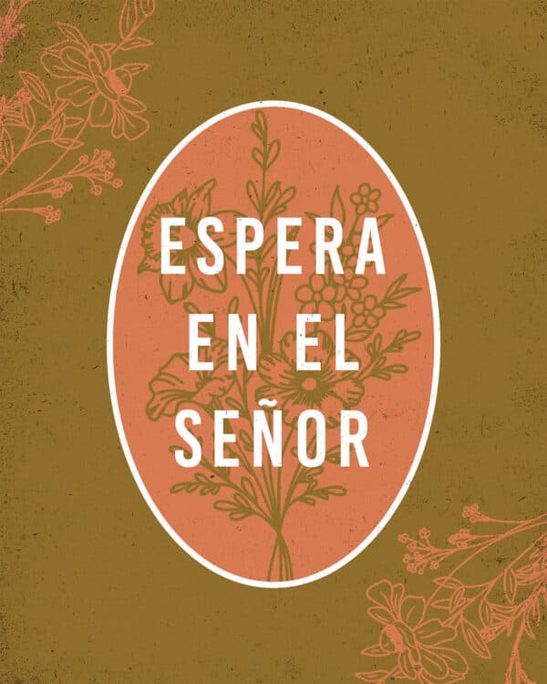 Espera en el Señor