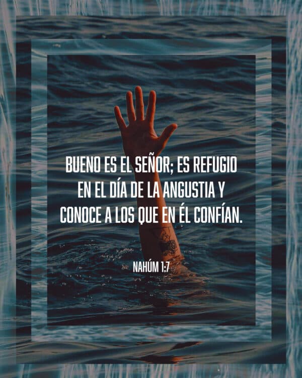 Bueno es el Señor; es refugio en el día de la angustia y conoce a los que en Él confían. - Nahúm 1:7
