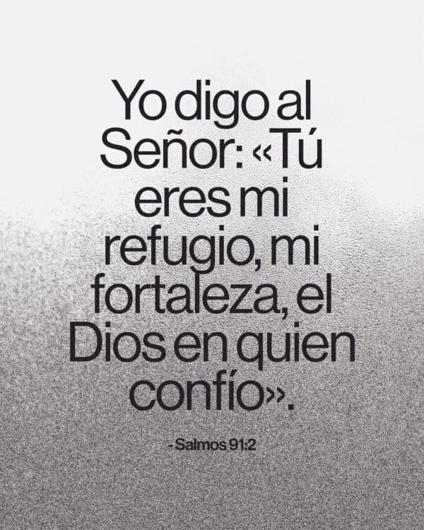 Yo digo al Señor: «Tú eres mi refugio, mi fortaleza, el Dios en quien confío». - Salmos 91:2