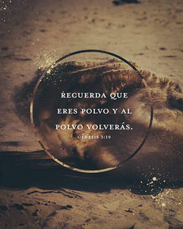 Recuerda que eres polvo y al polvo volverás. - Génesis 3:19
