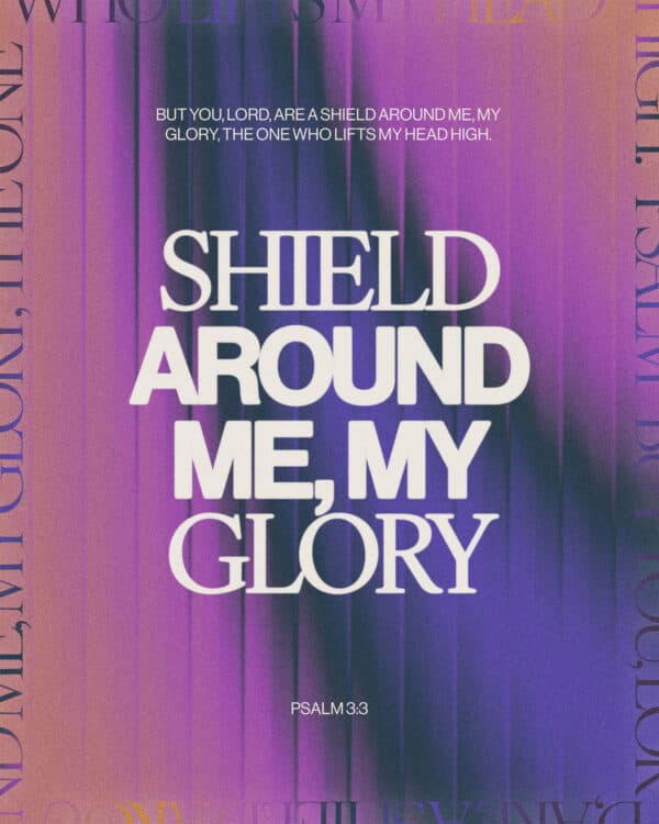 But you, Lord, are a shield around me, my glory, the One who lifts my head high. - Psalm 3:3