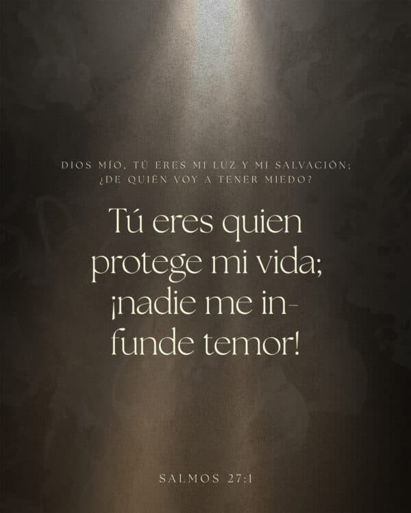 Dios mío, tú eres mi luz y mi salvación; ¿De quién voy a tener miedo? Tú eres quien protege mi vida; ¡nadie me infunde temor! - Salmos 27:1