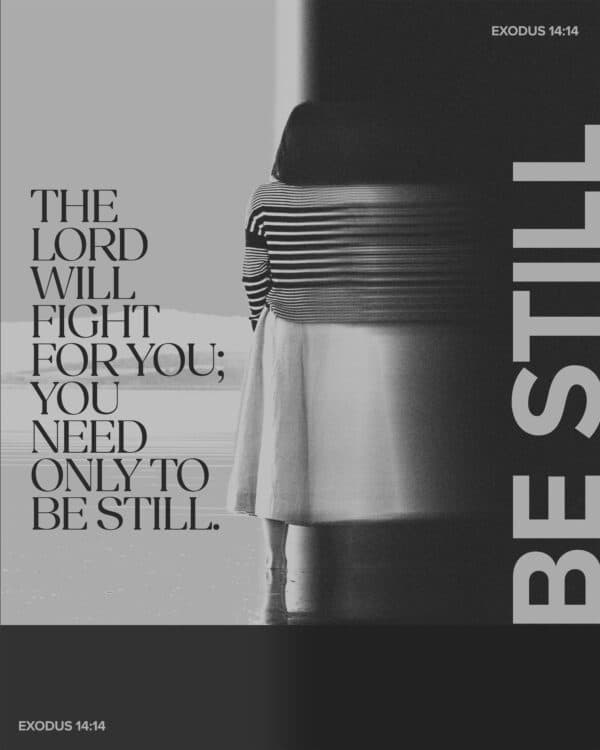 The Lord will fight for you; you need only to be still. - Exodus 14:14