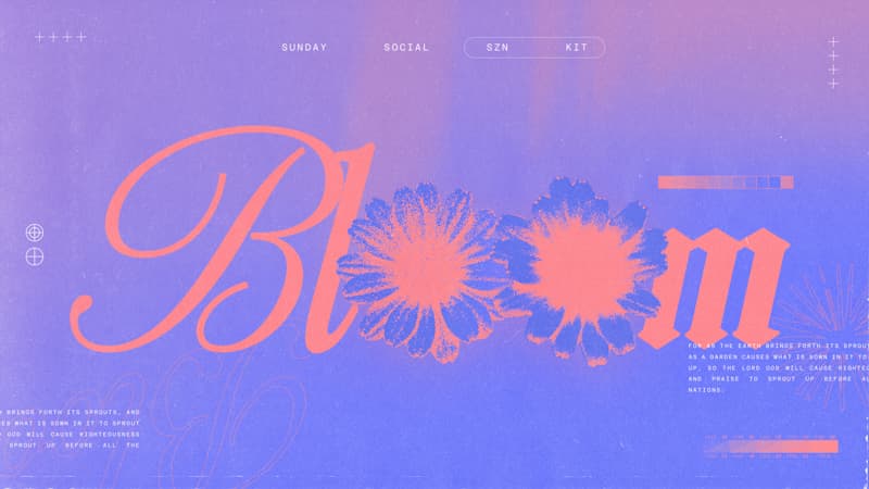 Main Graphics