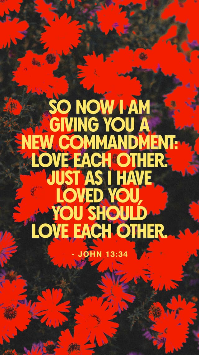 So now I am giving you a new commandment: Love each other. Just as I have loved you, you should love each other. - John 13:34