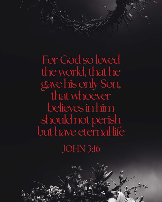 Scripture Posts