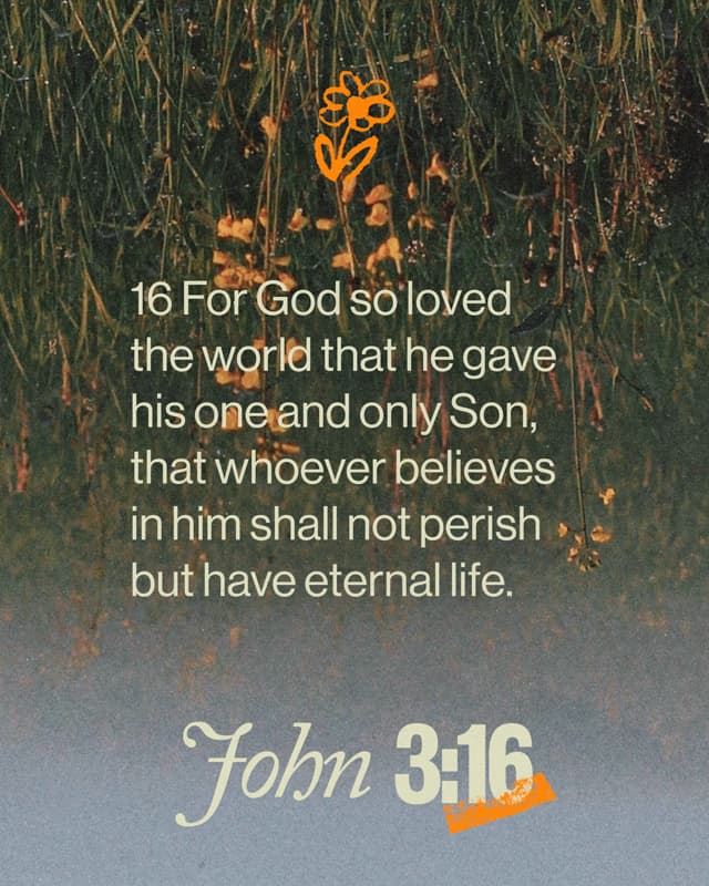Scripture Posts