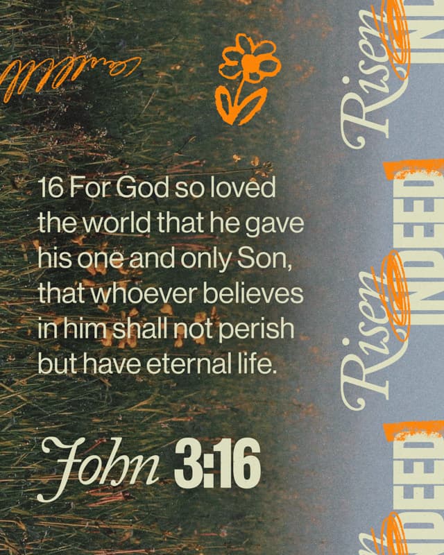 Scripture Posts