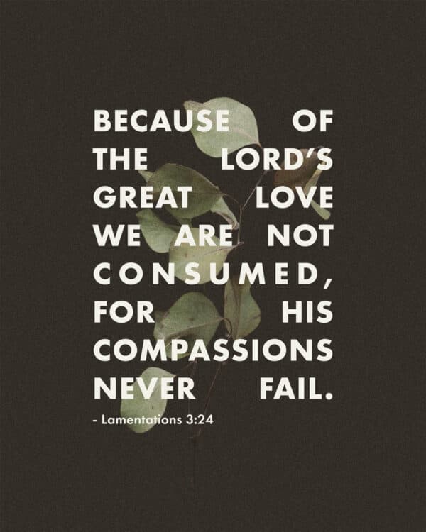 Because of the Lord’s great love we are not consumed, for his compassions never fail. - Lamentations 3:22
