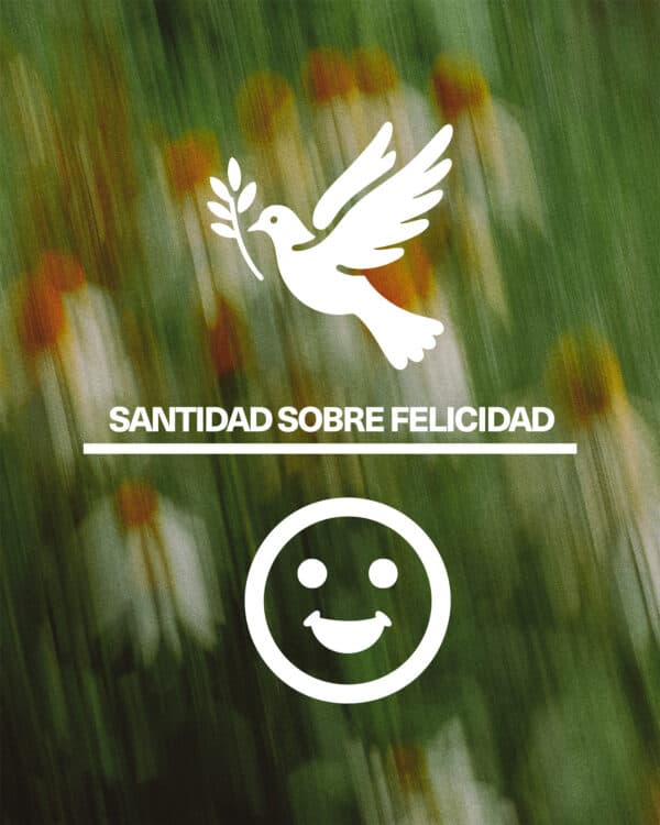 Santidad sobre felicidad