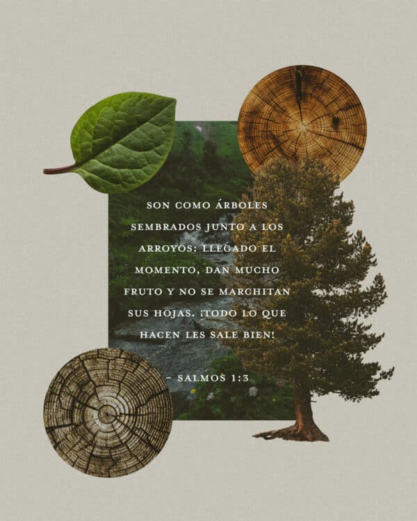 Son como árboles sembrados junto a los arroyos: llegado el momento, dan mucho fruto y no se marchitan sus hojas. ¡Todo lo que hacen les sale bien! - Salmos 1:3