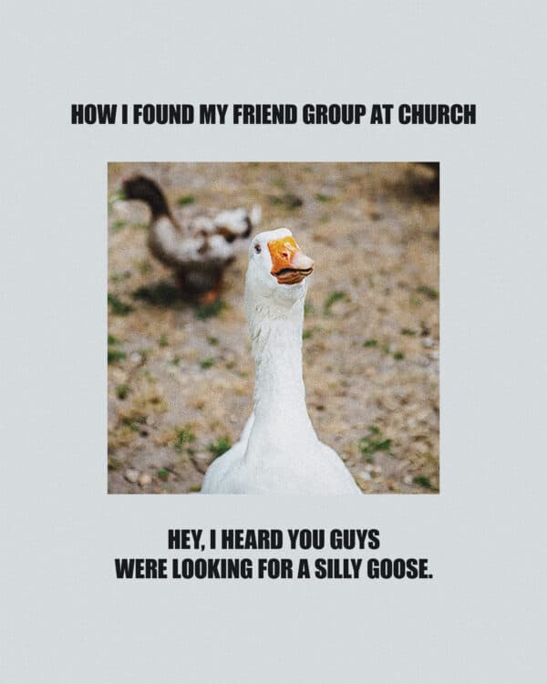 "How I found my friend group at church: Hey, I heard you guys were looking for a silly goose."
