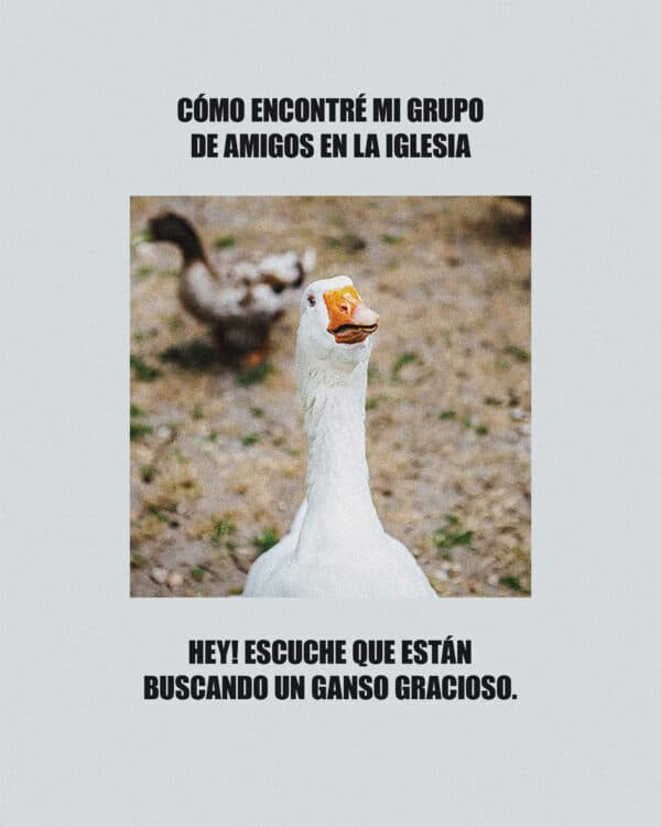 Cómo encontré mi grupo de amigos en la iglesia: Hey! Escuche que están buscando un ganso gracioso.