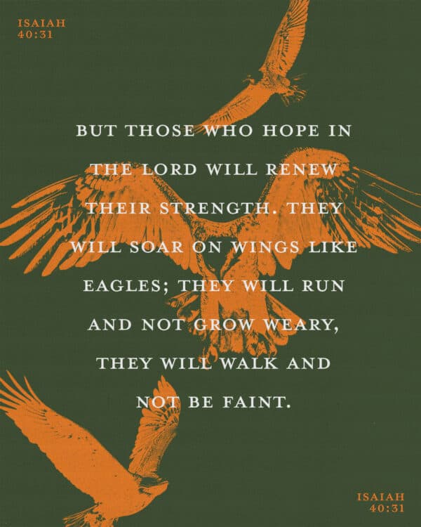 But those who hope in the Lord will renew their strength. They will soar on wings like eagles; they will run and not grow weary, they will walk and not be faint. - Isaiah 40:31
