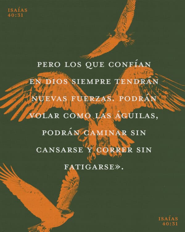 Pero los que confían en Dios siempre tendrán nuevas fuerzas. Podrán volar como las águilas, podrán caminar sin cansarse y correr sin fatigarse». - Isaías 40:31