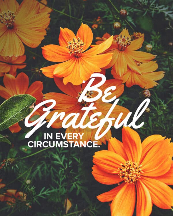 Be grateful in every circumstance.