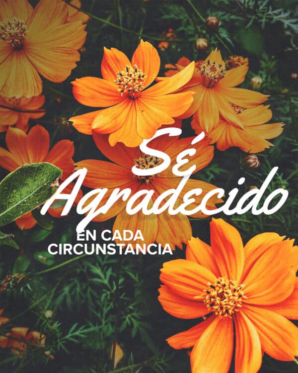 Sé agradecido en cada circunstancia