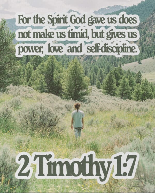 For the Spirit God gave us does not make us timid, but gives us power, love and self-discipline. - 2 Timothy 1:7