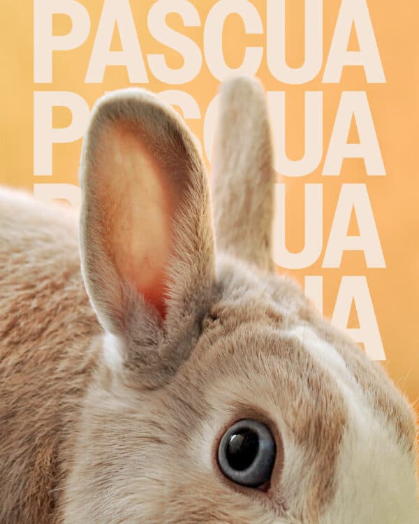 Pascua