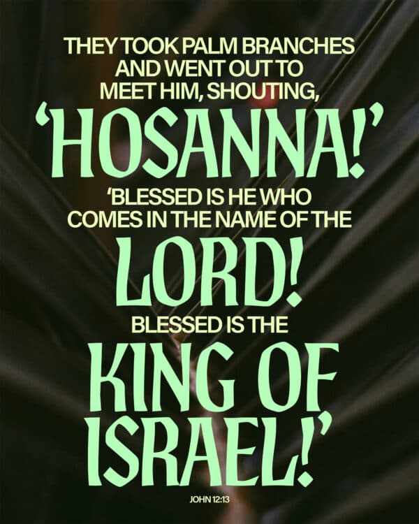 They took palm branches and went out to meet him, shouting, 'Hosanna!' 'Blessed is he who comes in the name of the Lord! Blessed is the king of Israel!' - John 12:13