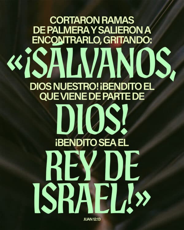 Cortaron ramas de palmera y salieron a encontrarlo, gritando: «¡Sálvanos, Dios nuestro! ¡Bendito el que viene de parte de Dios! ¡Bendito sea el Rey de Israel!» - Juan 12:13