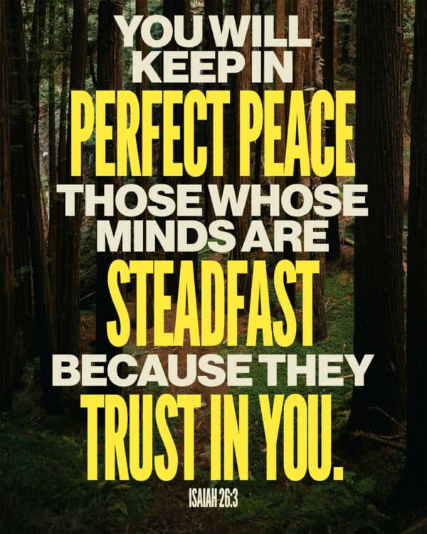 You will keep in perfect peace those whose minds are steadfast, because they trust in you. - Isaiah 26:3