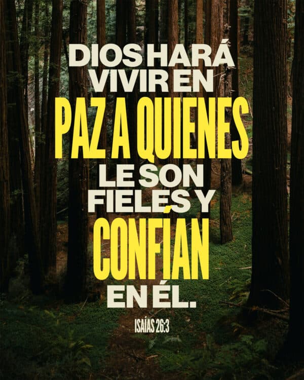 Dios hará vivir en paz a quienes le son fieles y confían en Él. - Isaías 26:3