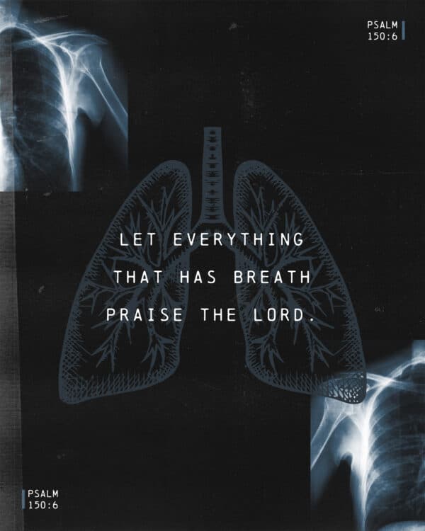 Let everything that has breath praise the Lord. - Psalm 150:6