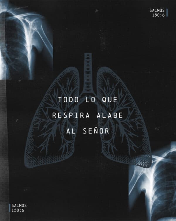 Todo lo que respira alabe al Señor. ¡Aleluya! - Salmos 150:6