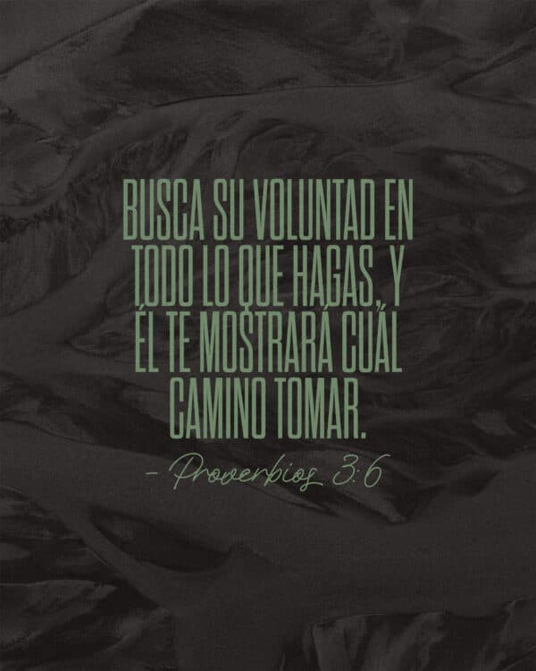 Busca su voluntad en todo lo que hagas, y Él te mostrará cuál camino tomar. - Proverbios 3:6