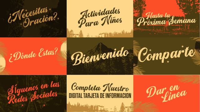 Summer Camp | Diapositivas