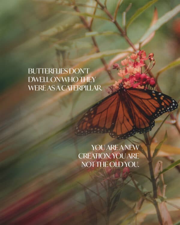Butterflies don’t dwell on who they were as a caterpillar. You are a new creation. You are not the old you.