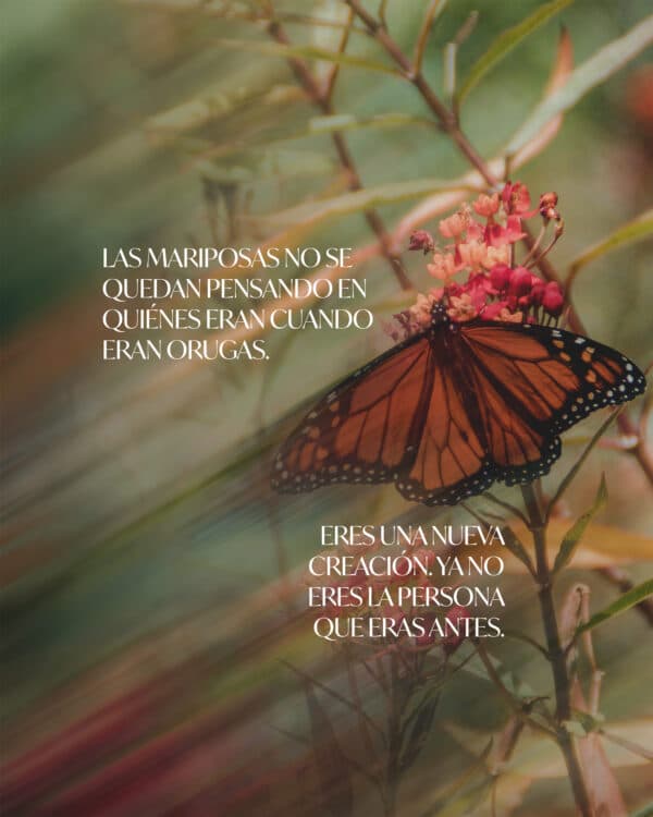 Las mariposas no se quedan pensando en quiénes eran cuando eran orugas. Eres una nueva creación. Ya no eres la persona que eras antes.