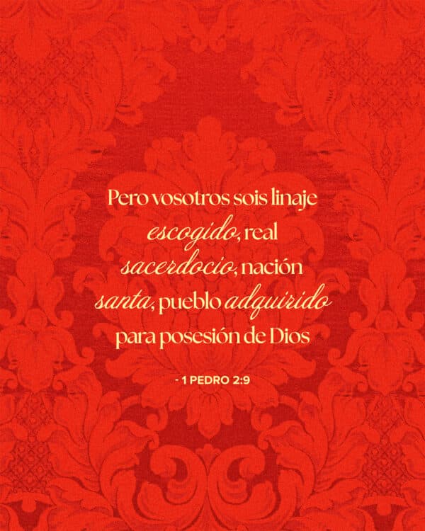 Pero vosotros sois linaje escogido, real sacerdocio, nación santa, pueblo adquirido para posesión de Dios, a fin de que anunciéis las virtudes de aquel que os llamó de las tinieblas a su luz admirable. - 1 Pedro 2:9