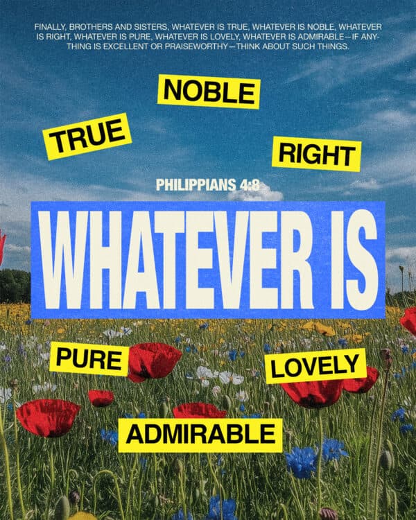 Finally, brothers and sisters, whatever is true, whatever is noble, whatever is right, whatever is pure, whatever is lovely, whatever is admirable—if anything is excellent or praiseworthy—think about such things. - Philippians 4:8
